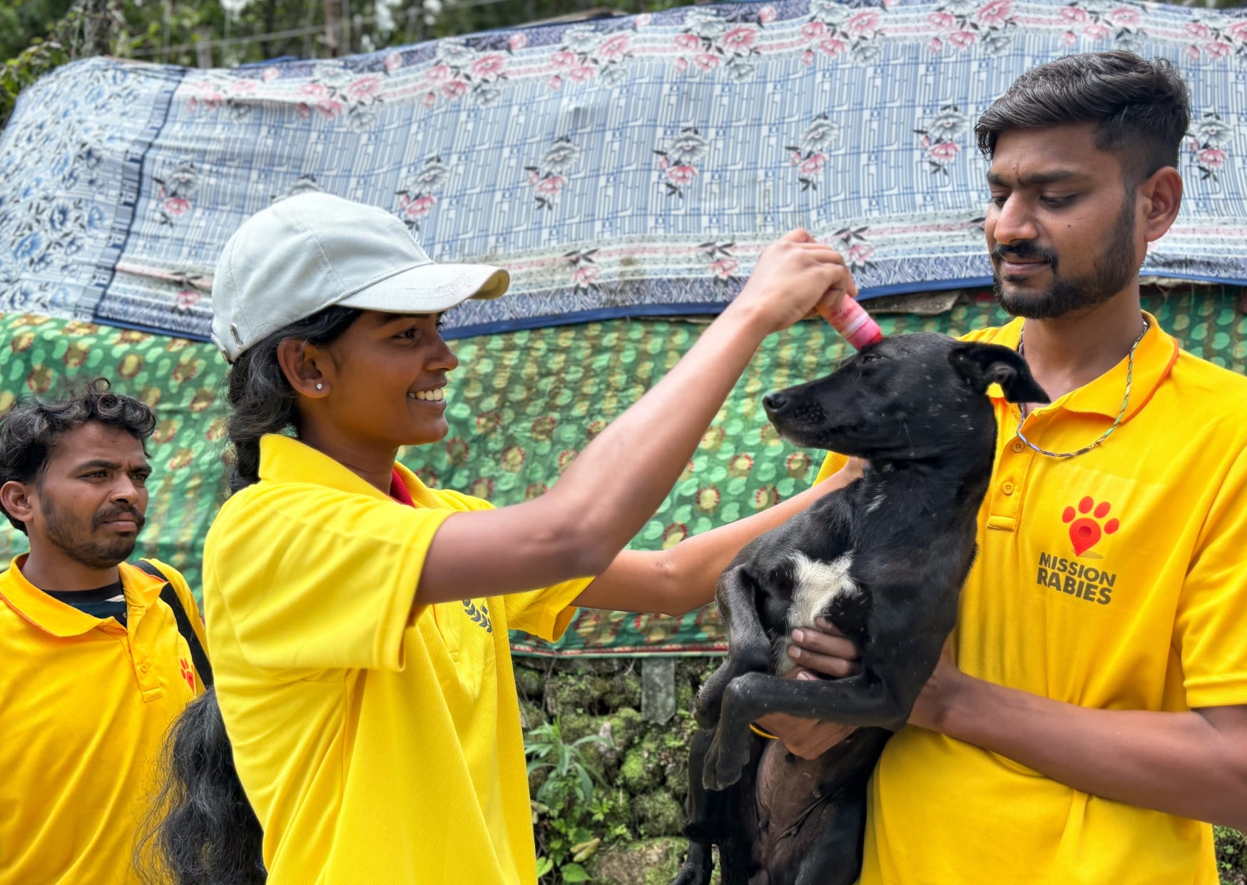 Mission Rabies team vaccinating a dog - representative image