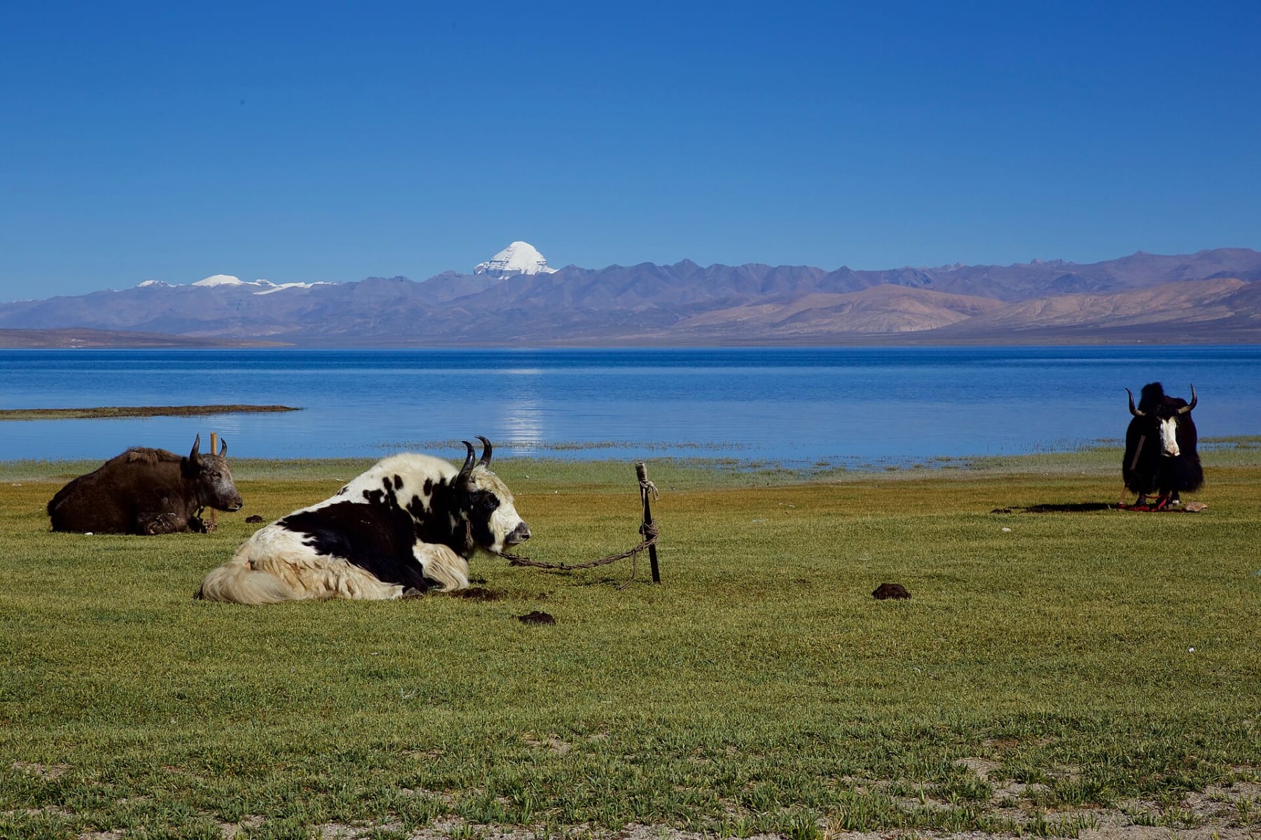 Lake Manasarovar with Mount Kailash in the distance - file photo