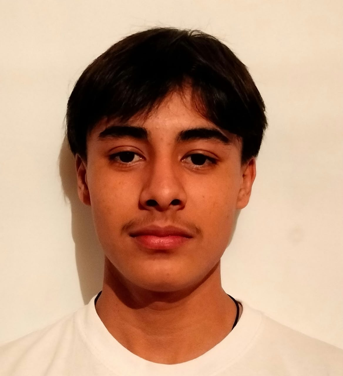 Luis Antonio Mancera Garcia