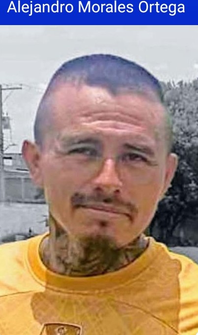 Alejandro Morales Ortega
