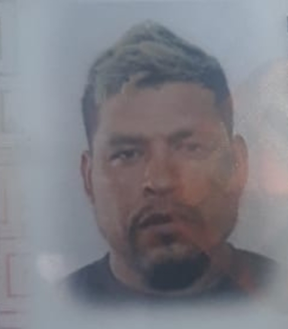 ALEJANDRO GARCIA CAMPOS