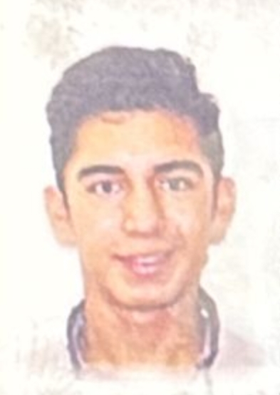 LUIS ALEJANDRO VALDES ARROYO