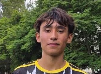 FABIAN ELIAS FLORES SANCHEZ