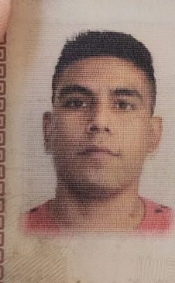 Francisco Alex Merino Flores