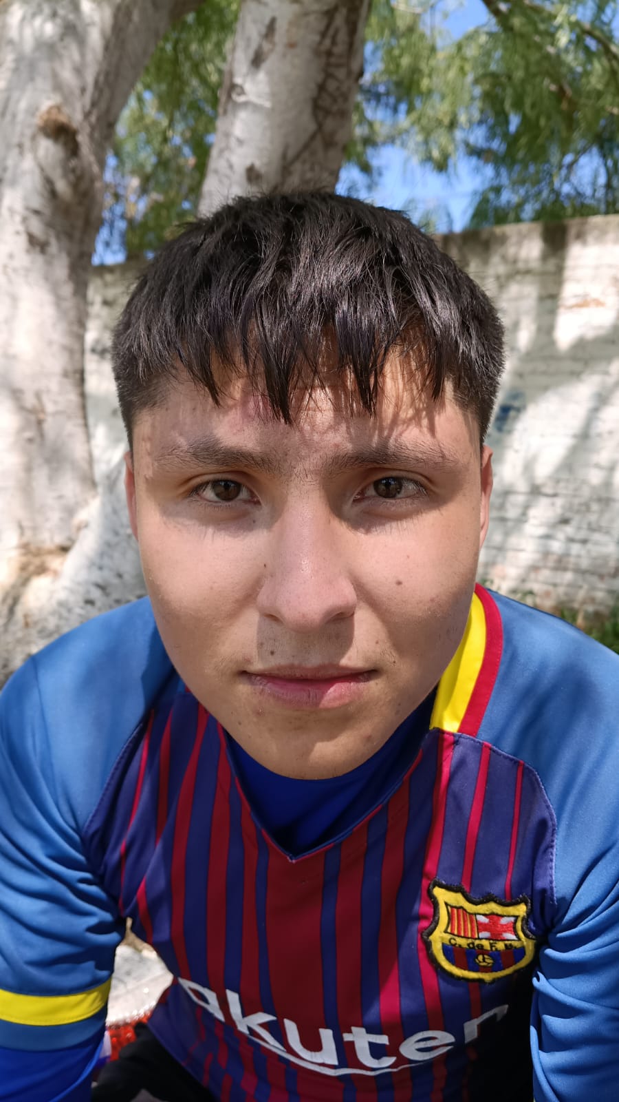 Jose Leonardo Huichapa Rodriguez