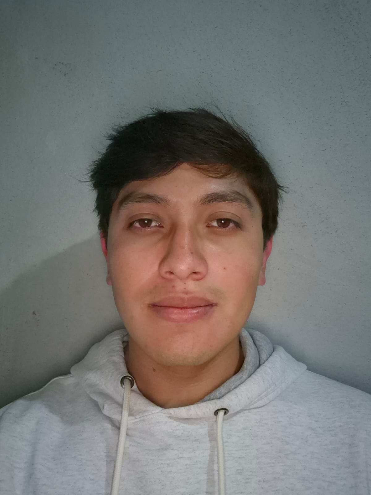 BRYAN AARON LOPEZ TORRES