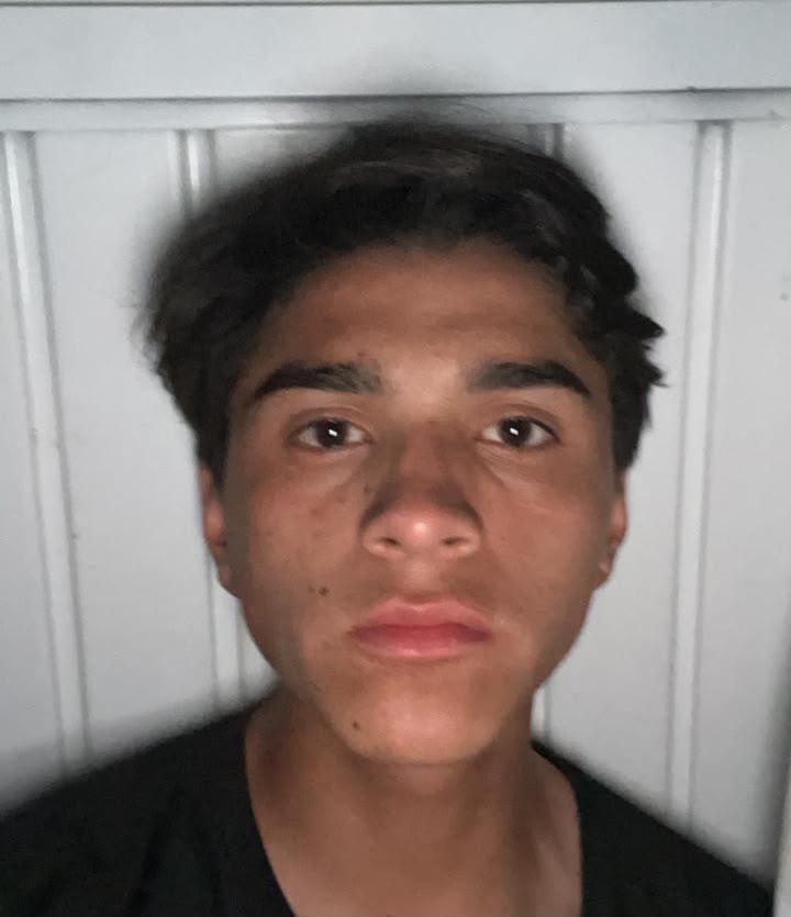 ANDRE JOSUE ALVAREZ PIZANO