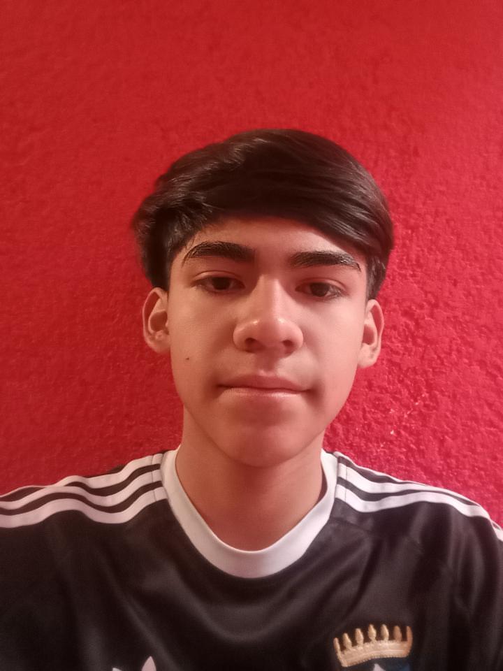 Salvador Cortes Flores