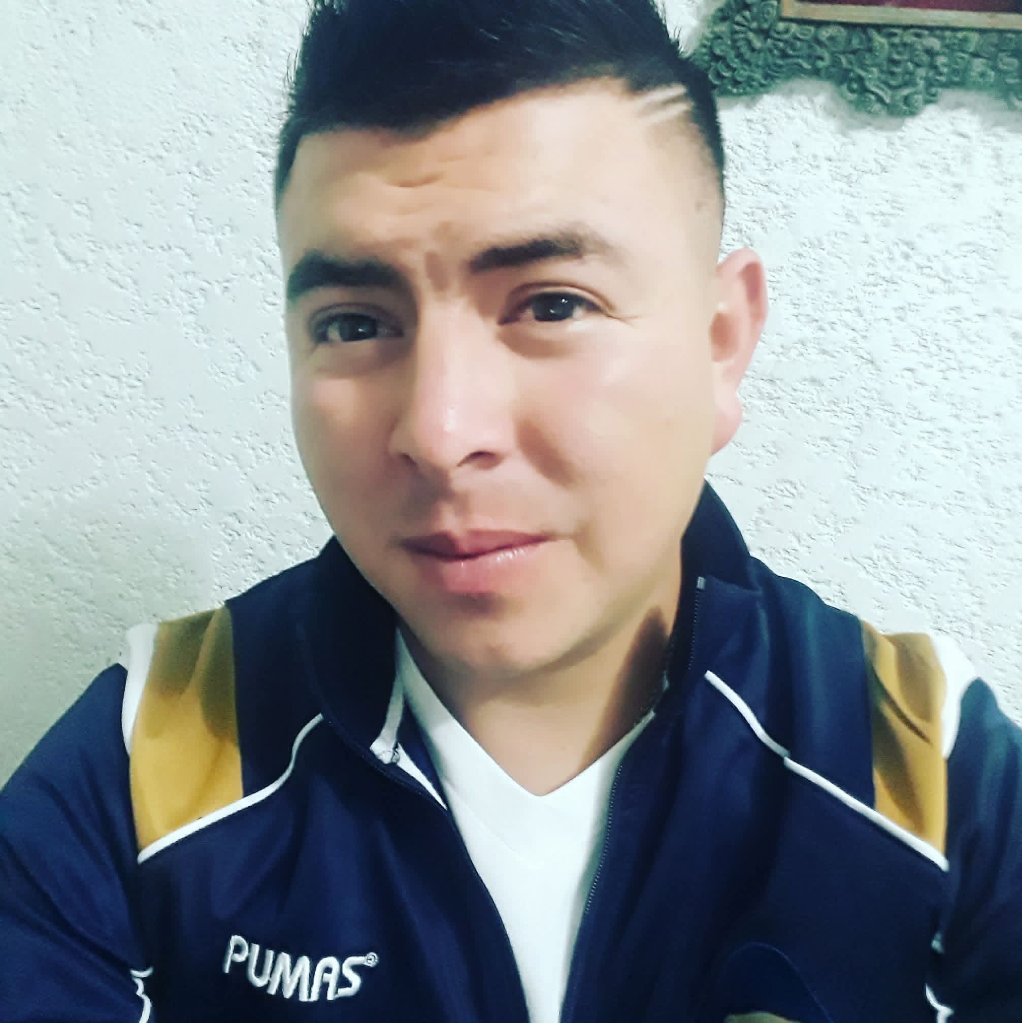 LUIS MANUEL VILLANUEVA PEREZ