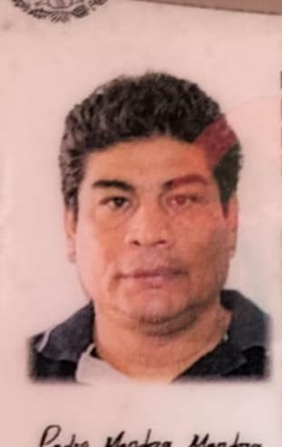 Pedro Mendoza Mendoza