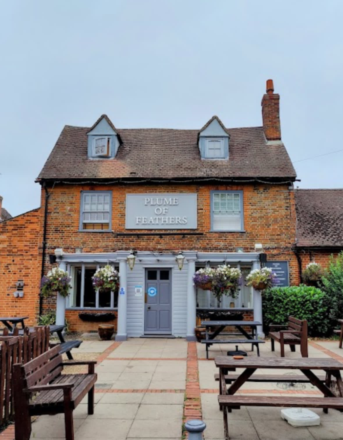 Plume of Feathers gallery image