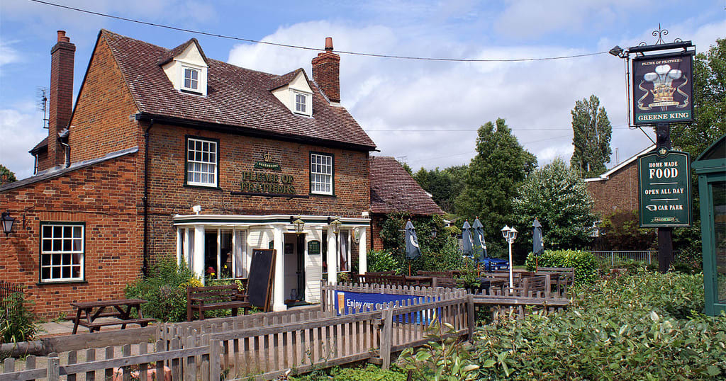Plume of Feathers gallery image