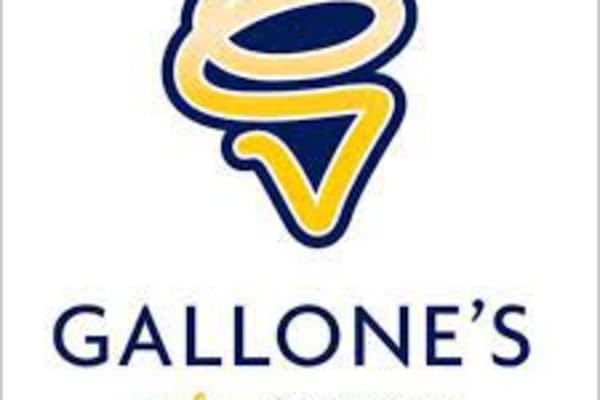 Gallone's Ice Cream Parlour: SERVICE