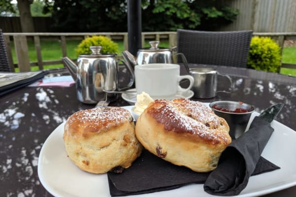 Darlingtons Tea Rooms: DISHES