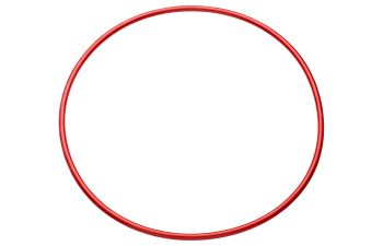 R812573SYNO D25 O-Ring