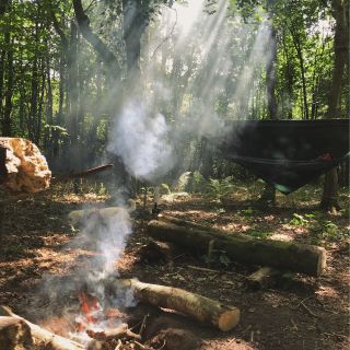 A campfire in the woods, smoke amongst rays of sunlight