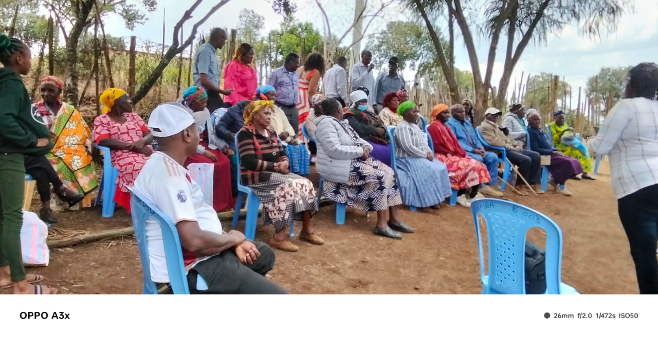 Community gathering under a tree