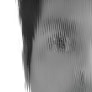 aman