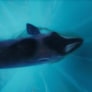 Deep Dive XR