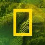 NGS UX