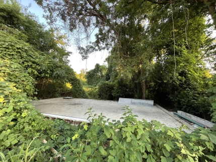 A small skate ramp and grind rail in the woods, surrounded by trees, ivy, and other vegetation.