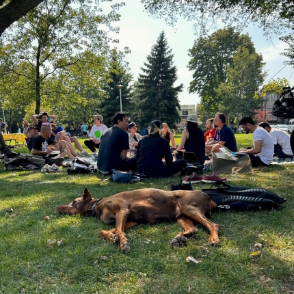 Doggo resting on the grass with a group of people sitting in the background