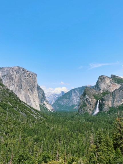 A photo of Yosemite Valley taken from tunnel view. The photo is framed by a clear blue sky, the towering formations of El Captain, Half Dome and Bridalveil Fall, and a vast forest of pine trees.