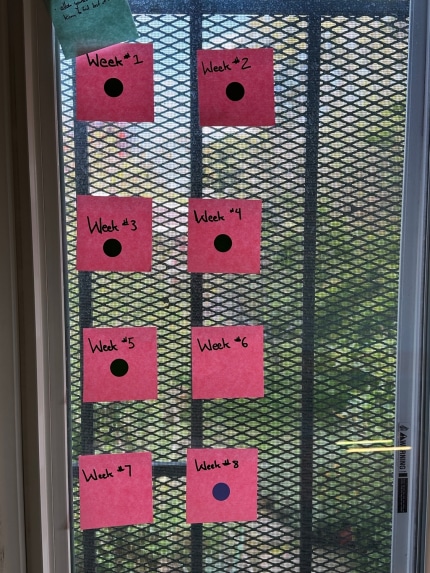 8 sticky notes, arranged in a grid. Each represents a week in the 8-week long sabbatical I’m on.