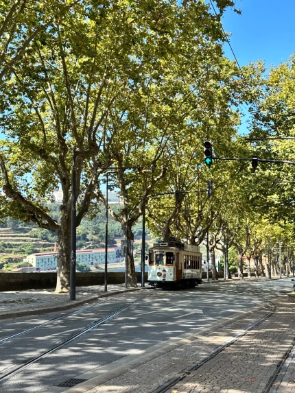 A photo of a tram coming up a hill in Porto. The tram is on a street that is flanked by trees. Clear blue skies can be seen above, and the houses across the Douro river can be seen in the background.