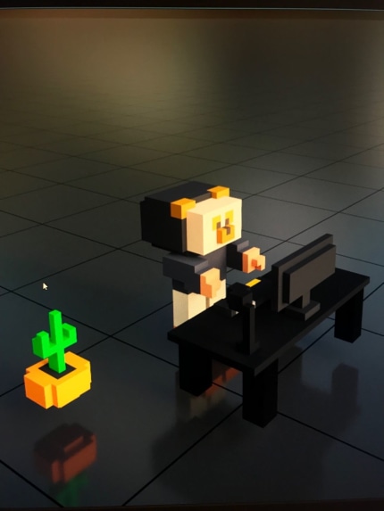 My first voxel 3D model design