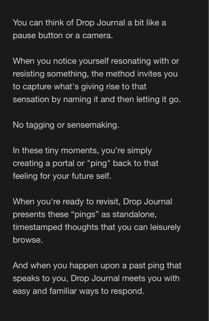 A screenshot describing the Drop Journal and the Ping Practice method embedded within it.