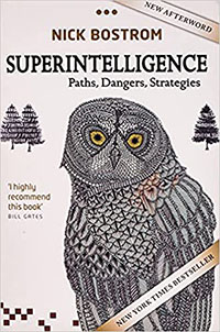 Superintelligence: Paths, Dangers, Strategies