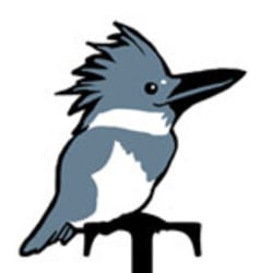 T Kingfisher - [object Object] author