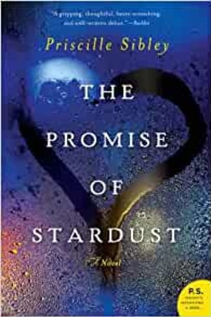 The Promise of Stardust: A Novel - book cover