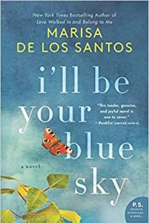 I'll Be Your Blue Sky: A Novel book cover