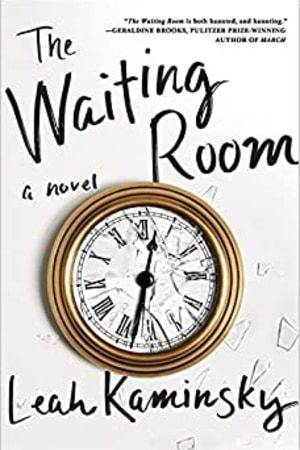 The Waiting Room: A Novel - book cover