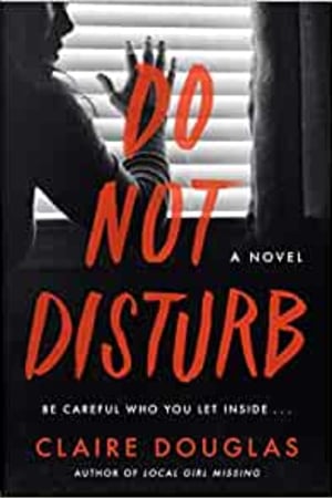 Do Not Disturb: A Novel book cover