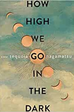 How High We Go in the Dark: A Novel - book cover