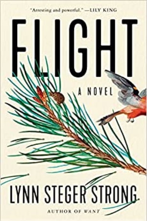 Flight: A Novel - book cover