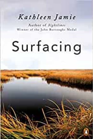 Surfacing book cover