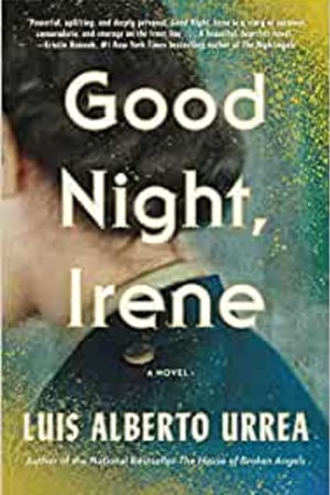 Good Night, Irene: A Novel book cover