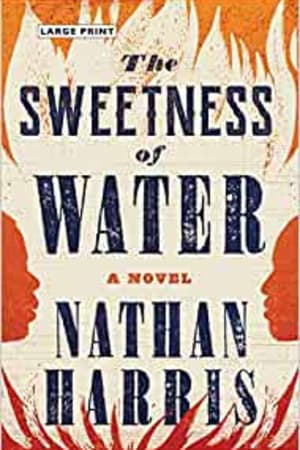 The Sweetness of Water: A Novel book cover