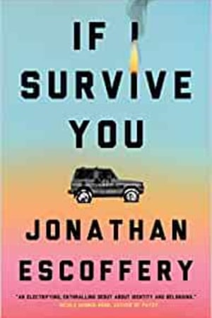 If I Survive You - book cover