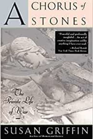 A Chorus of Stones: The Private Life of War - book cover