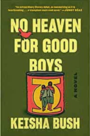 No Heaven for Good Boys: A Novel book cover