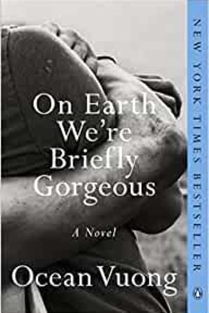 On Earth We're Briefly Gorgeous: A Novel book cover