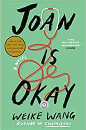 Joan Is Okay: A Novel book cover