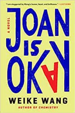 Joan Is Okay: A Novel book cover