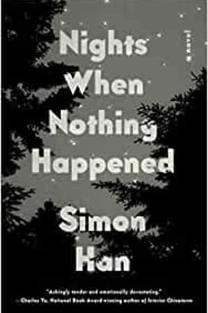 Nights When Nothing Happened: A Novel - book cover