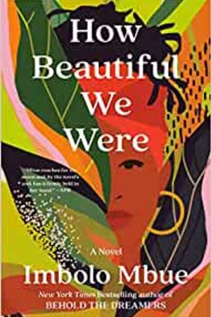 How Beautiful We Were: A Novel - book cover